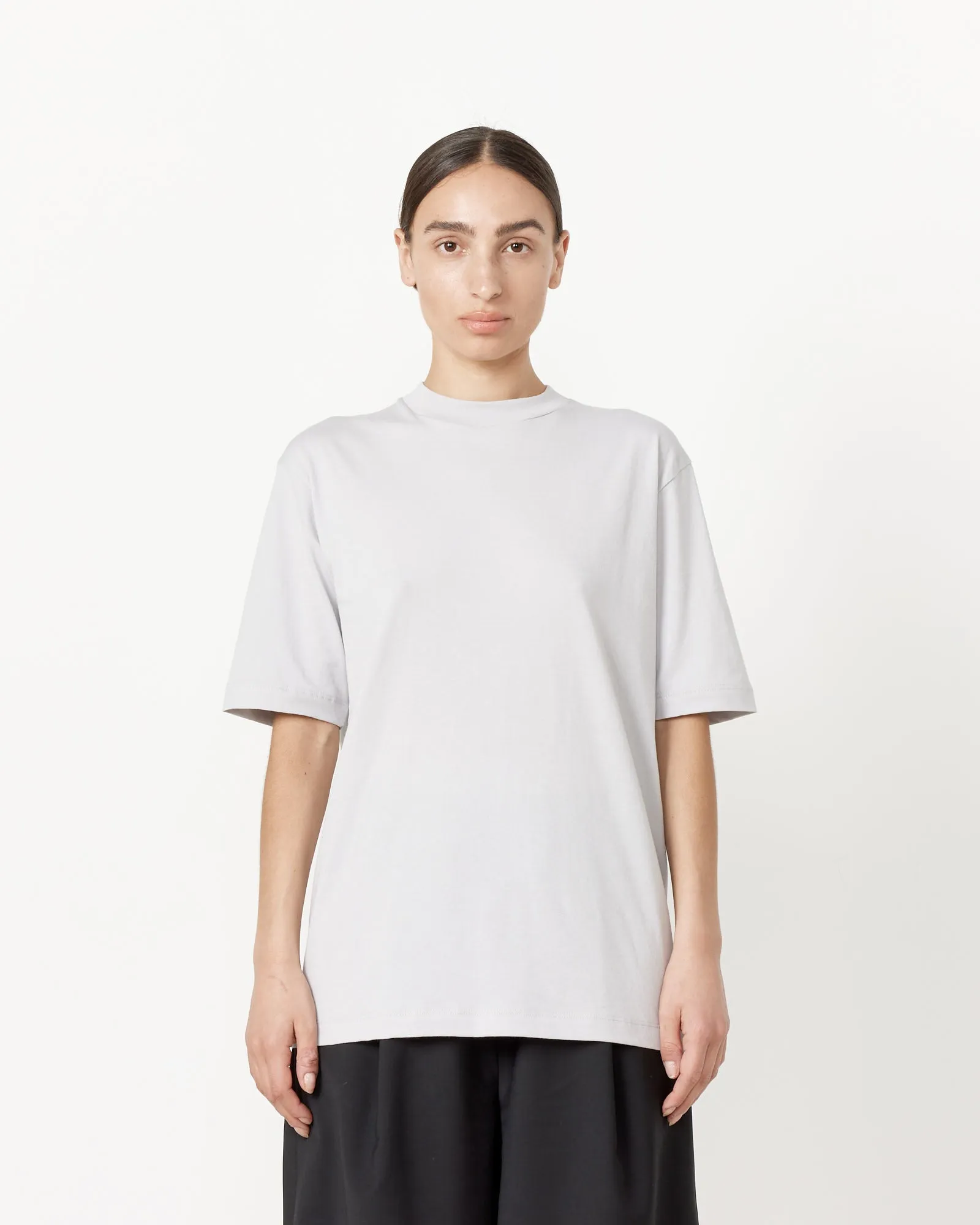 Progam Mock Neck T-Shirt in Greystone