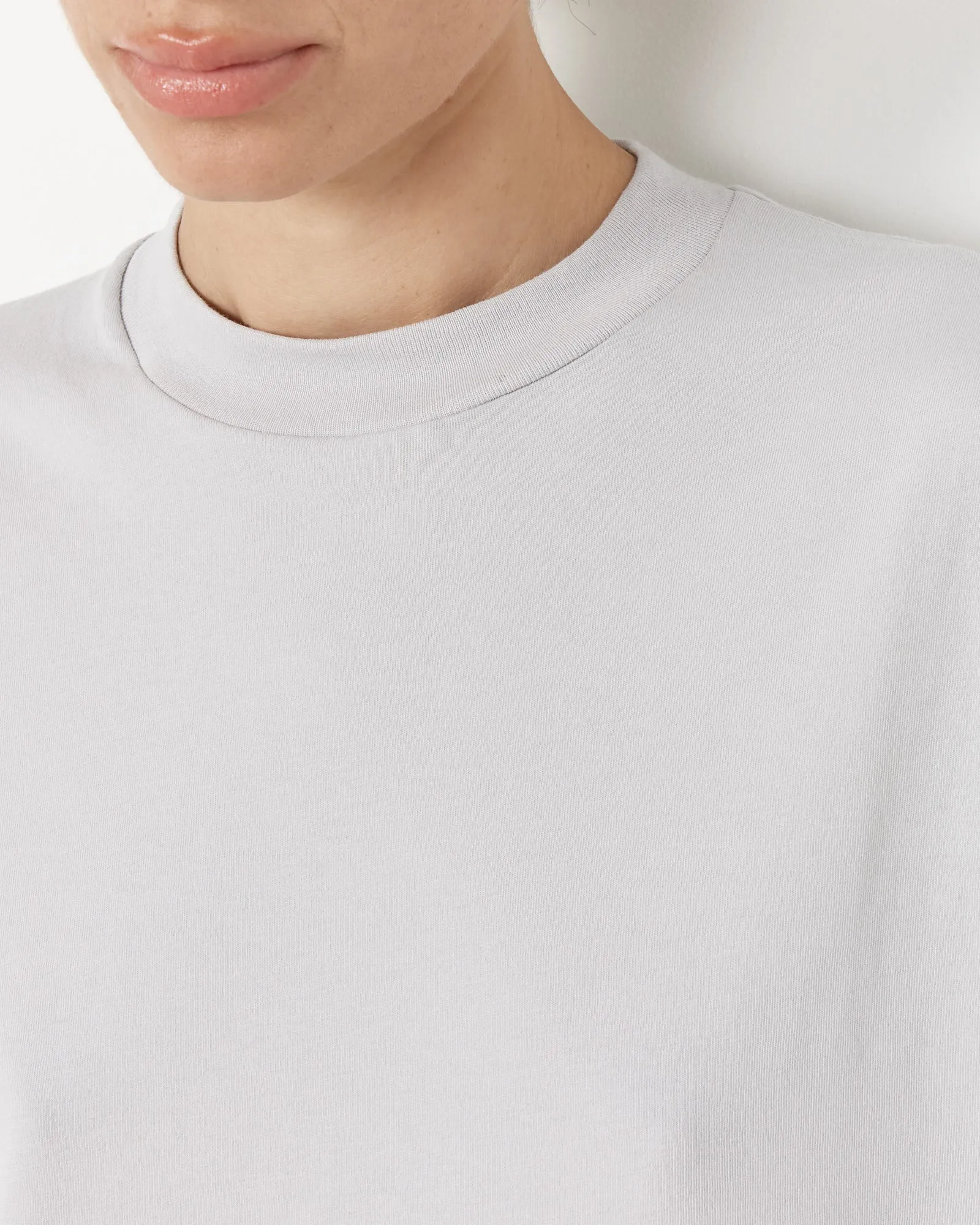 Progam Mock Neck T-Shirt in Greystone